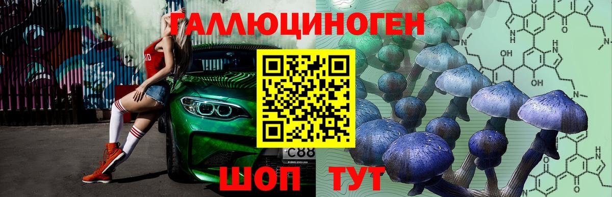 Добрянка  Галлюциногенные грибы GOLDEN TEACHER  Вход с VPN  Галлюциногенные грибы GOLDEN TEACHER 